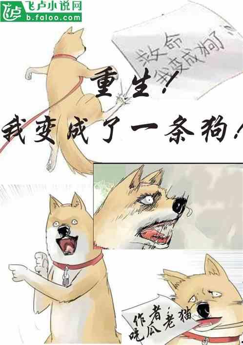 诡异吃瓜小说免费阅读下载,免费阅读，揭秘神秘小说世界  第2张